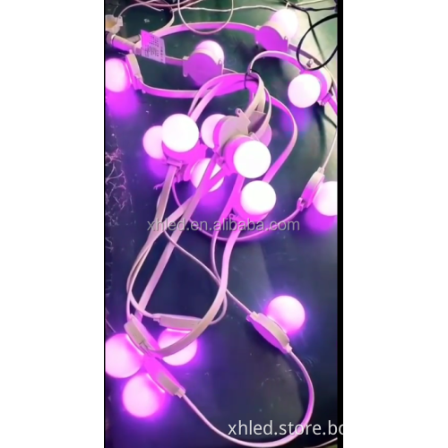 IP67 Waterproof RGB Smart LED Bulb for Home and Outdoor Decoration